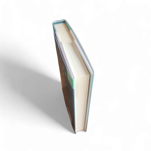 When We Were Bright and Beautiful by Jillian Medoff - Picture 4 of 4